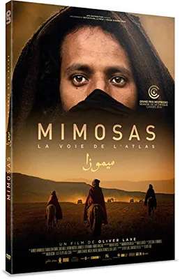 Mimosas : La voie de l'Atlas