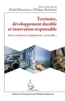 Territoire, développement durable et innovation responsable, Entre ambitions et déploiement "praticable"