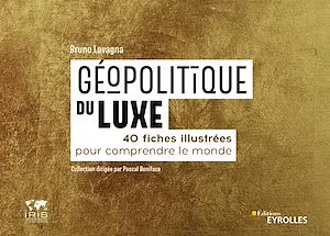 Géopolitique du luxe, 40 fiches illustrées pour comprendre le monde