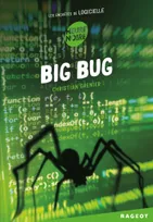 Les enquêtes de Logicielle, 6, Big bug, Les enquêtes de Logicielle