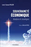 Souveraineté Économique, Analyse et stratégies