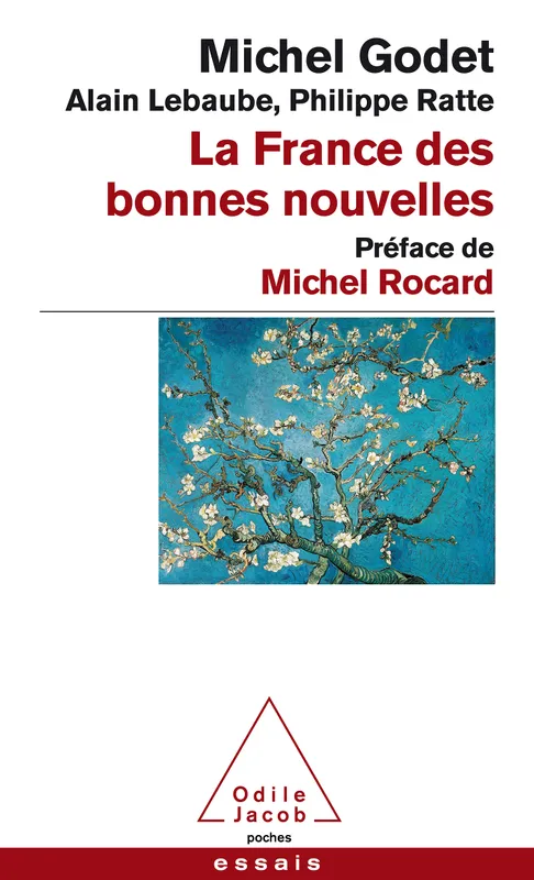 Livres Sciences Humaines et Sociales Sciences sociales La France des bonnes nouvelles Michel Godet, Philippe Ratte, Alain Lebaube