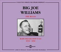 BIG JOE WILLIAMS THE BLUES BABY PLEASE DON T GO 1935 1951 COFFRET DOUBLE CD AUDIO
