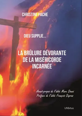 La brûlure dévorante de la Miséricorde incarnée, Dieu supplie