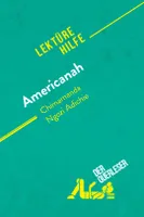 Americanah von Chimamanda Ngozi Adichie (Lektürehilfe), Detaillierte Zusammenfassung, Personenanalyse und Interpretation