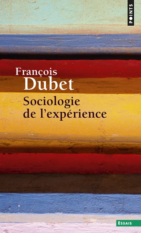 Livres Sciences Humaines et Sociales Sciences sociales Sociologie de l'expérience François Dubet