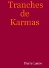 Tranches de Karmas, roman