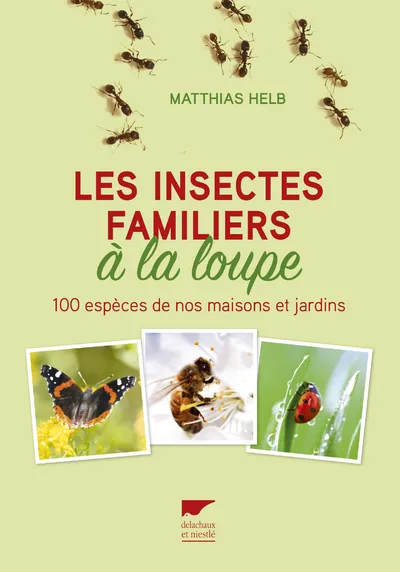 Livres Écologie et nature Nature Faune Les insectes familiers à la loupe, 100 espèces de nos maisons et jardins Matthias Helb