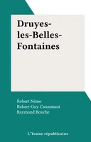 Druyes-les-Belles-Fontaines