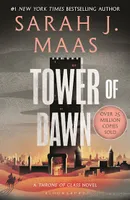 Tower of Dawn (Throne of Glass, 6)