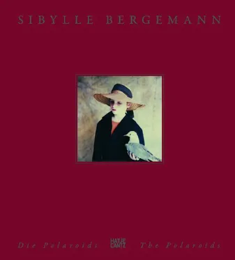 Sibylle Bergemann The Polaroids /anglais/allemand