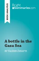 A bottle in the Gaza Sea, by Valérie Zenatti