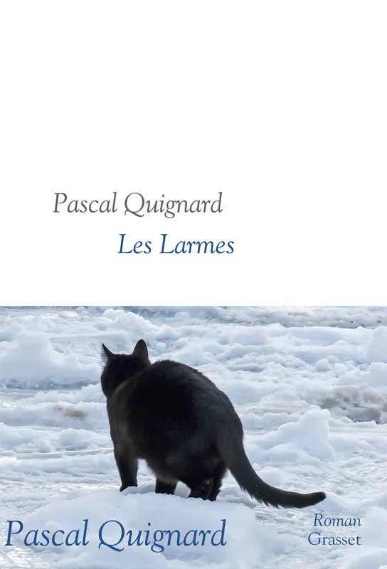Livres Littérature et Essais littéraires Romans contemporains Francophones Les larmes Pascal Quignard