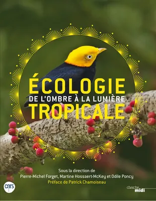 Ecologie tropicale - De l'ombre à la lumière