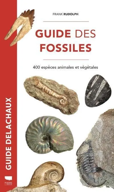 Livres Sciences et Techniques Sciences de la Vie et de la Terre Guide des fossiles, 400 espèces animales et végétales Frank Rudolph