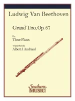 Grand Trio, Op 87