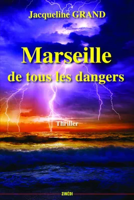 Marseille de tous les dangers, Roman