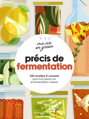 Ma  vie en green - Précis de fermentation, 100 recettes & conseils pour tout savoir sur la fermentation maison