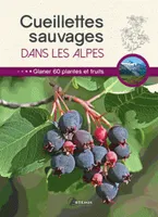 Cueillettes sauvages dans les Alpes - 60 plantes et fruits à glaner