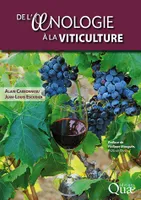 De l'œnologie à la viticulture 