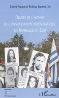 Droits de l'homme et consolidation démocratique en Amérique du Sud