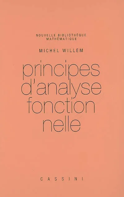 Livres Sciences et Techniques Mathématiques Licence Principes d'analyse fonctionnelle Michel Willem