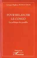 Pour relancer le Congo, La politique du possible