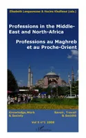 Professions au Maghreb et au Proche-Orient, Professions in the Middle East and North Africa