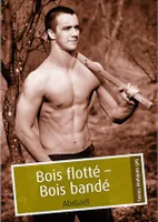 Bois flotté - Bois bandé (pulp gay)