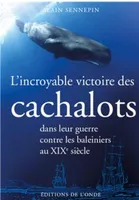 L'incroyable victoire des cachalots dans leur guerre contre les baleiniers au XIXe siècle