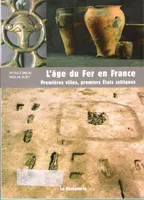 L'âge du fer en France, premières villes, premiers états celtiques