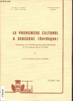 Le phénomène culturel à Bergerac (Dordogne), Processus de différenciation des pratiques et politiques de la culture