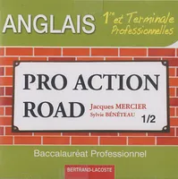 Pro Action Road / Anglais 1re et terminale professionnelle : CD audio