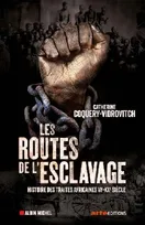 LES ROUTES DE L ESCLAVAGE - colonisation/esclavage, ben oui, Histoire des traites africaines VIe-XXe siècle