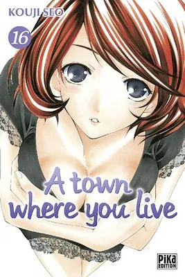 A town where you live T16