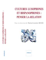 Cultures lusophones et hispanophones, Penser la relation