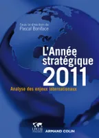 Année stratégique 2011, Analyse des enjeux internationaux