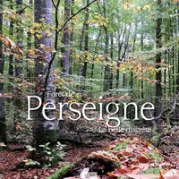 Forêt de Perseigne, La belle discrète
