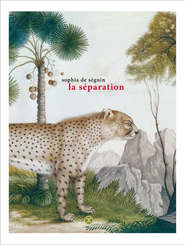 Livres Littérature et Essais littéraires Romans contemporains Francophones La Séparation Sophia De Seguin