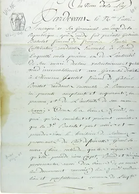 Acte de vente à Serrière de Briord (Virizieu, Seillonaz) (Ain) entre Gabrielle Babolat/François Plantin et Clémence Javelot d'un territoire avec vigne - 1803