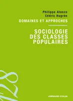 Sociologie des classes populaires, Domaines et approches