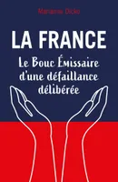 La France, Le Bouc émissaire d'une défaillance délibérée