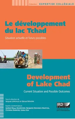 Le développement du lac Tchad, Situation actuelle et futurs possibles
