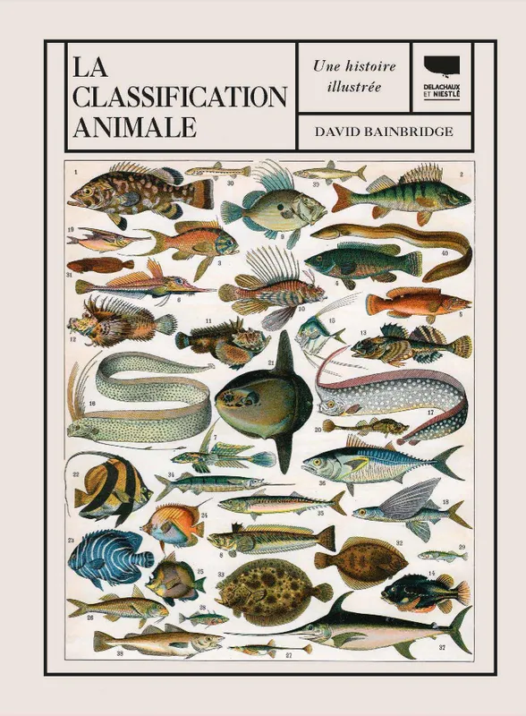 Livres Écologie et nature Écologie La classification animale, Une histoire illustrée David Bainbridge