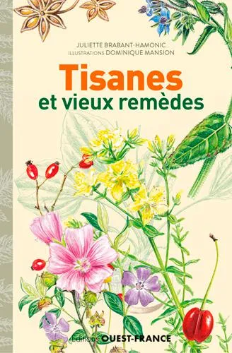 Livres Bien être Forme et Beauté Tisanes et vieux remèdes Juliette Brabant-Hamonic