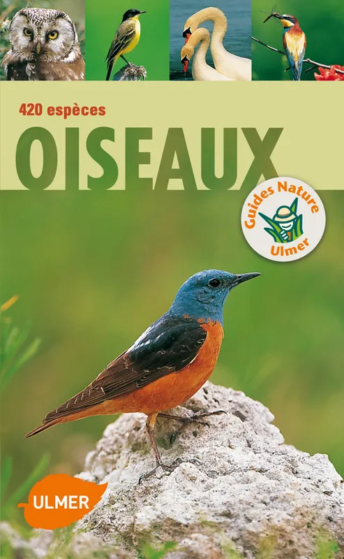 Livres Écologie et nature Nature Faune Oiseaux. 420 espèces Klaus Richarz, Anne Puchta