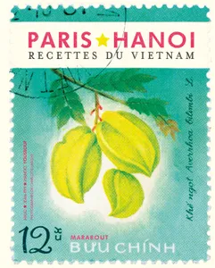 Paris-Hanoi recettes du Vietnam