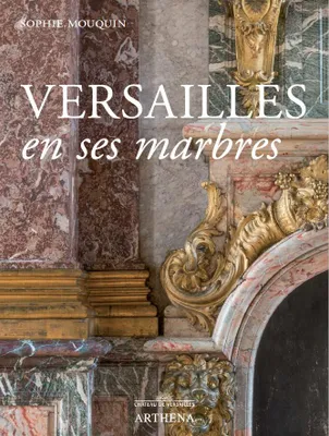 Versailles en ses marbres, Politique royale et marbriers du roi