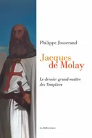 Jacques de Molay, Le dernier grand-maître des Templiers