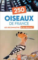 250 Oiseaux de France, Les reconnaître & les observer !